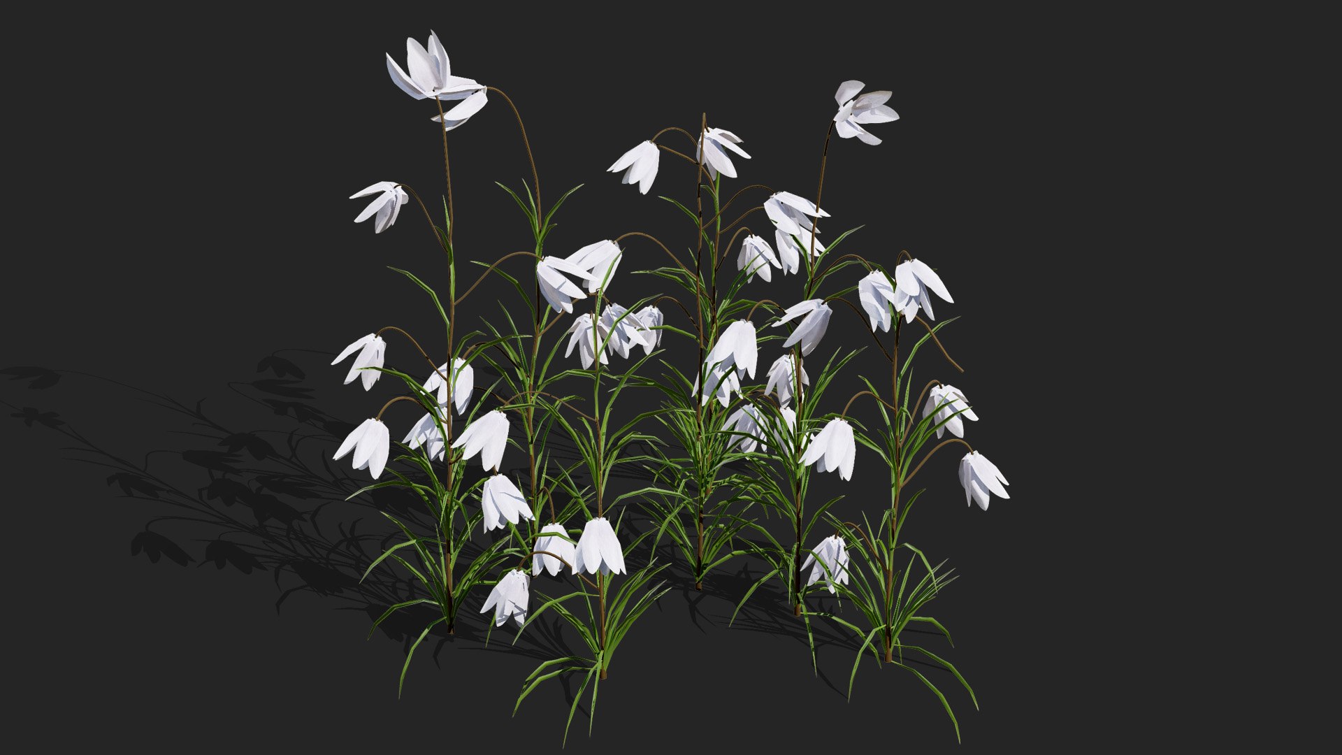 Fritillaria Meleagris 3D Model Collection 3D https://p.turbosquid.com/ts-thumb/ZE/UKHGYf/hU/britishfritillaryflowersfritillariameleagristhirdvatiationl/jpg/1759689413/1920x1080/fit_q87/65aa24ac6c40a5f6a825020850bb56bab2b97043/britishfritillaryflowersfritillariameleagristhirdvatiationl.jpg