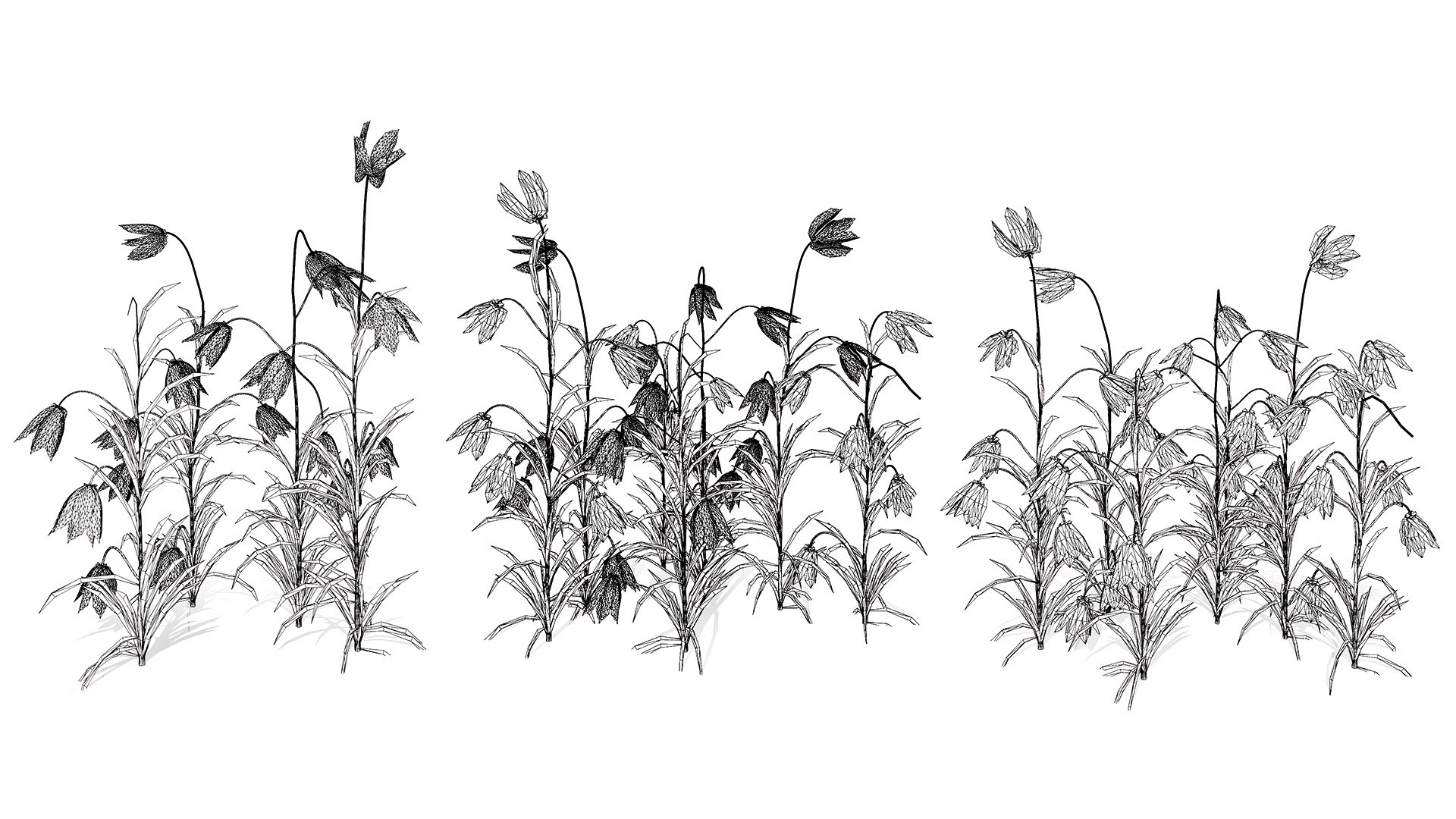 Fritillaria Meleagris 3D Model Collection 3D https://p.turbosquid.com/ts-thumb/ZE/UKHGYf/ou/wirel/jpg/1759689417/1920x1080/fit_q87/2850ec5a74c19e2d099850b4de46becbe9aa3711/wirel.jpg