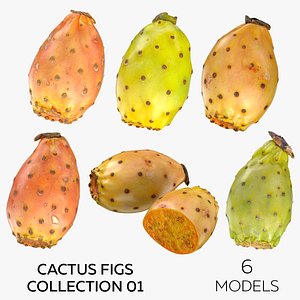3D Cactus Figs Collection 01 - 6 models