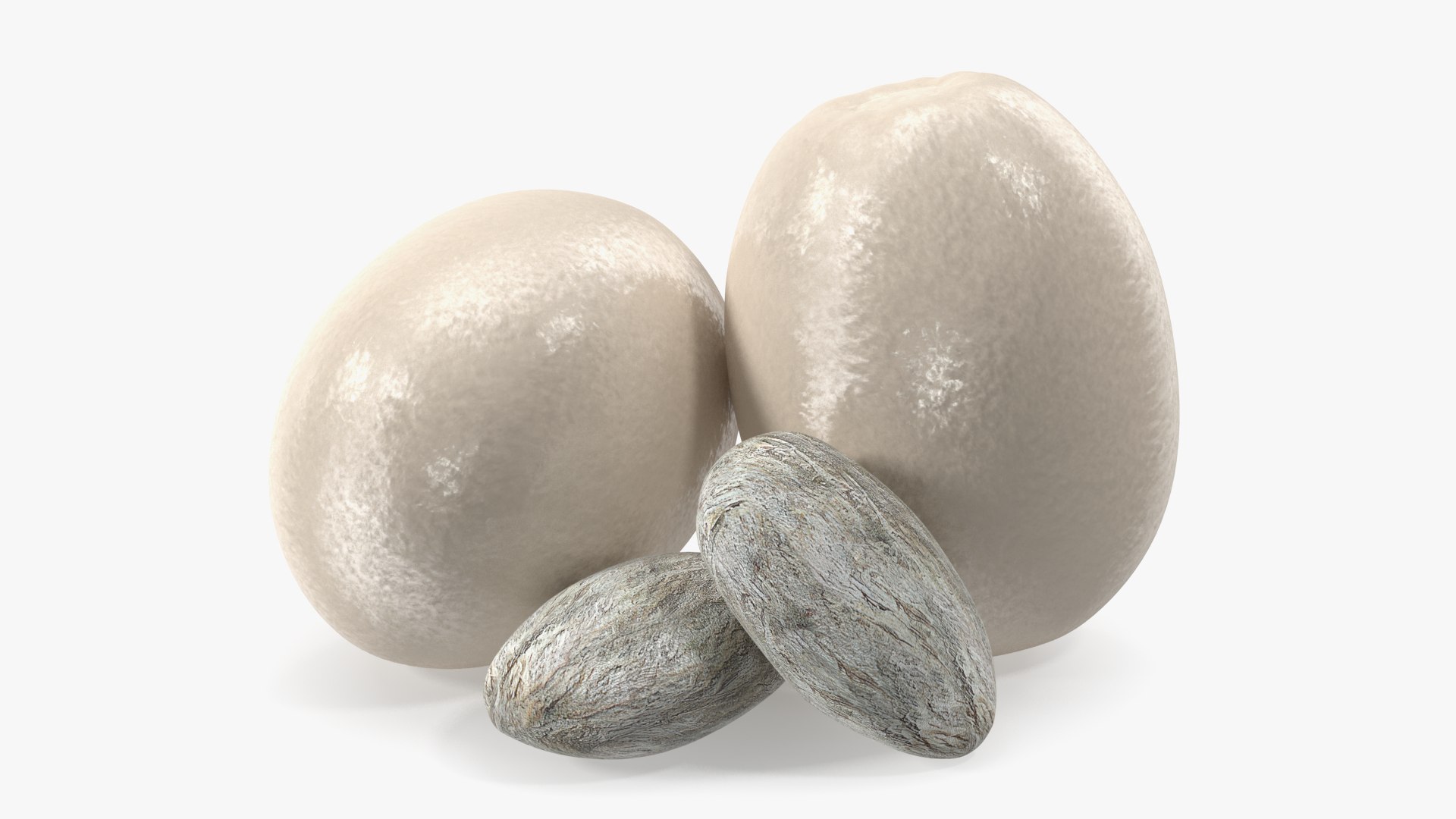 Peeled Rambutan Fruit with Seeds 3D model preview