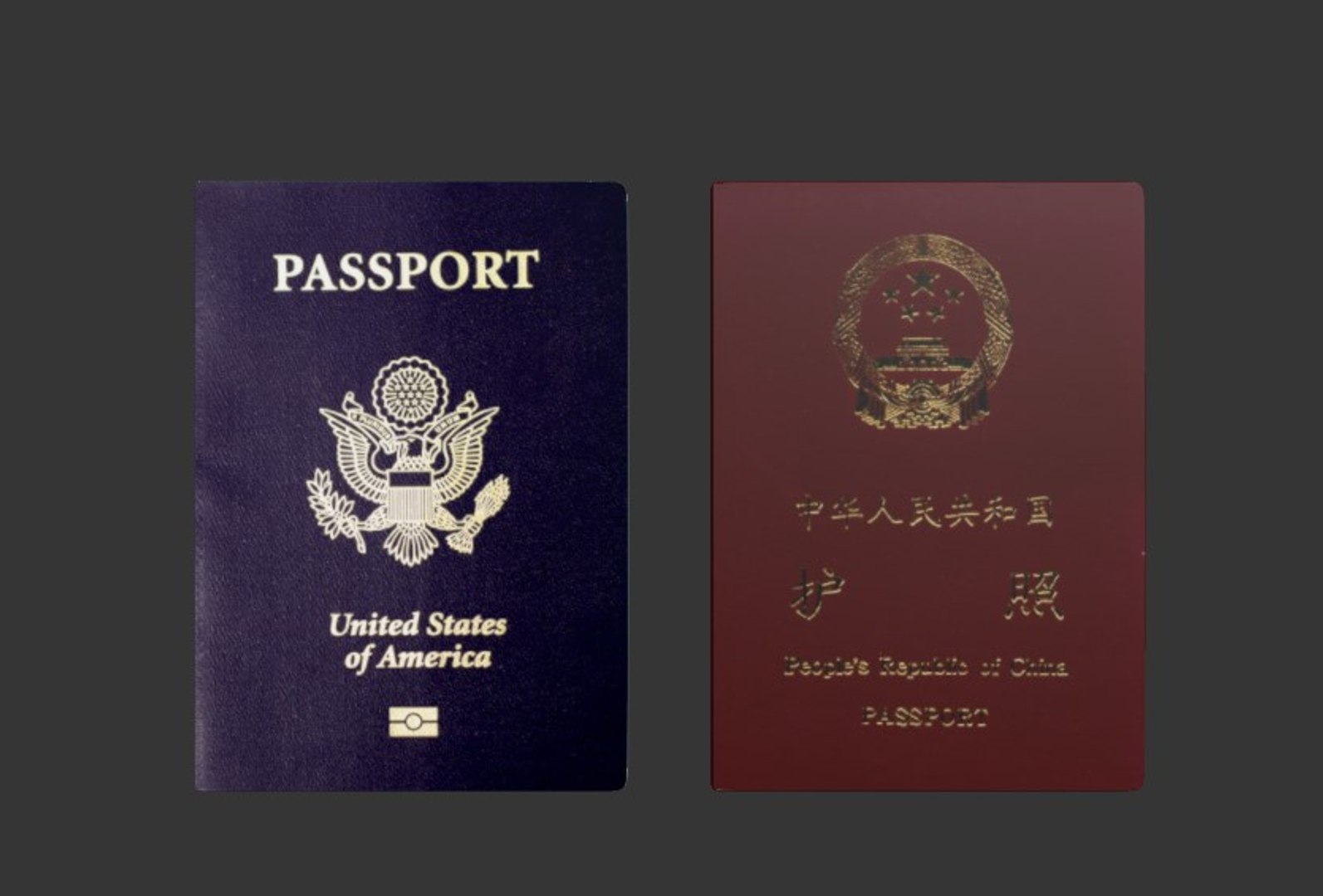 3D Passport United States - TurboSquid 1523213