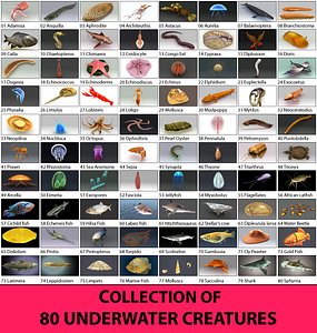 80 underwater 3D