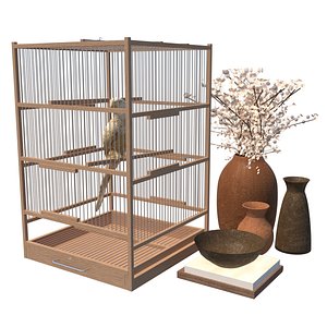 Birds Cage With Decor