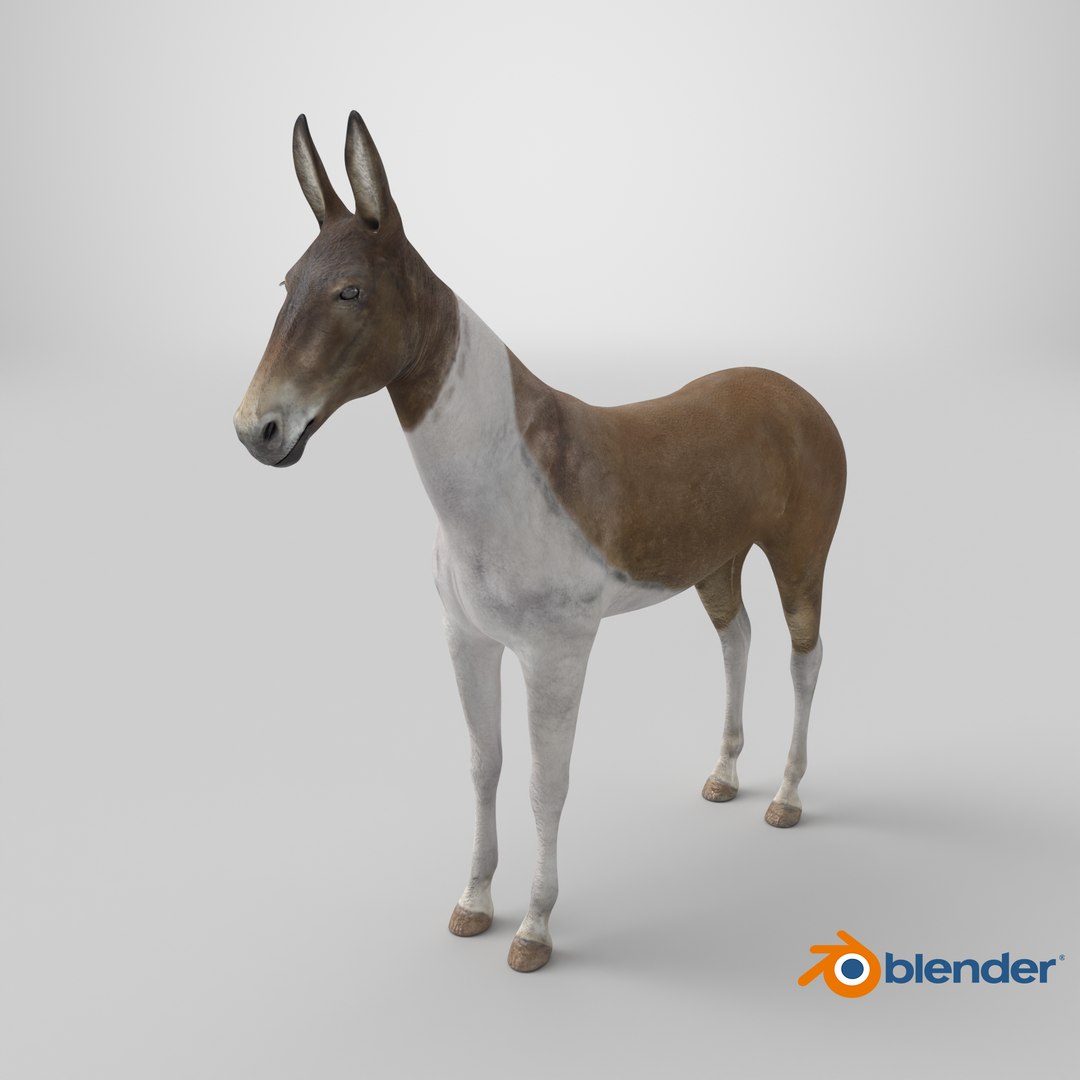 Mule 3D Model - TurboSquid 2279656