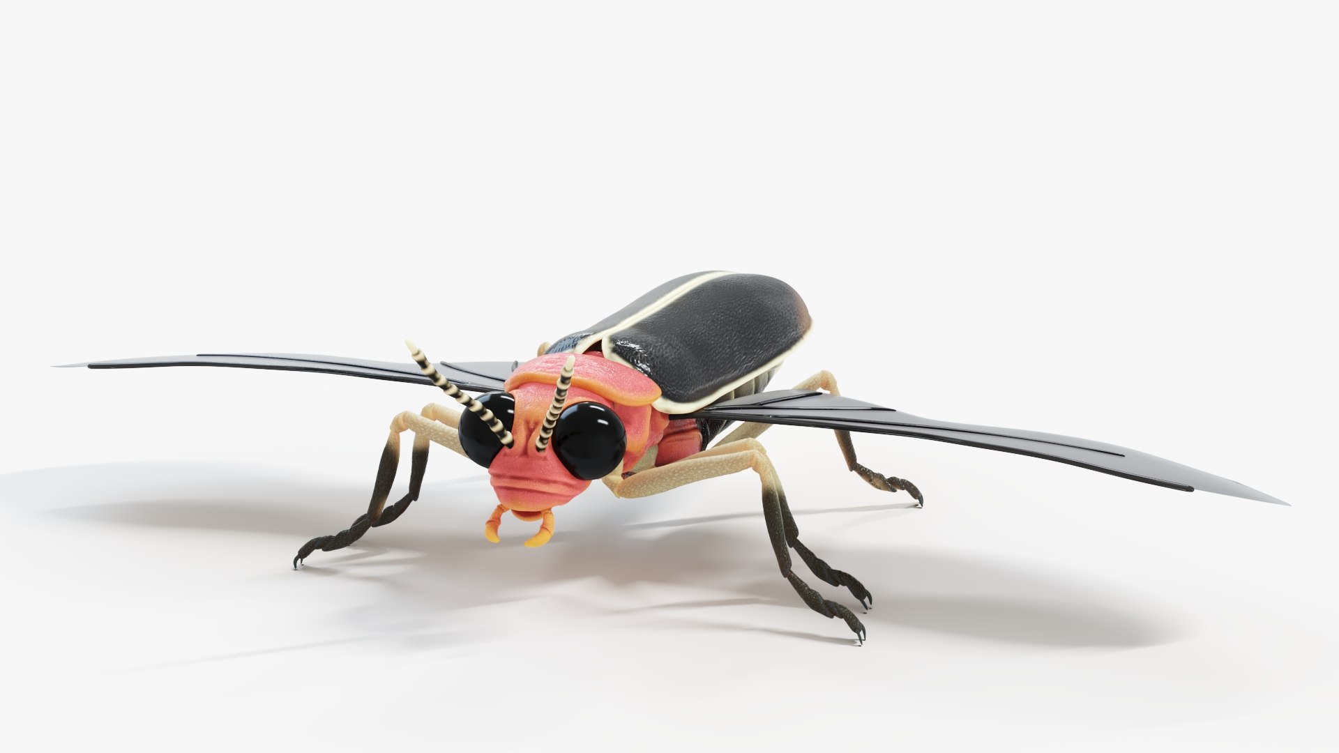 3D Firefly Static model - TurboSquid 2008604