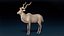 Kudu Antelope Base Mesh 3D