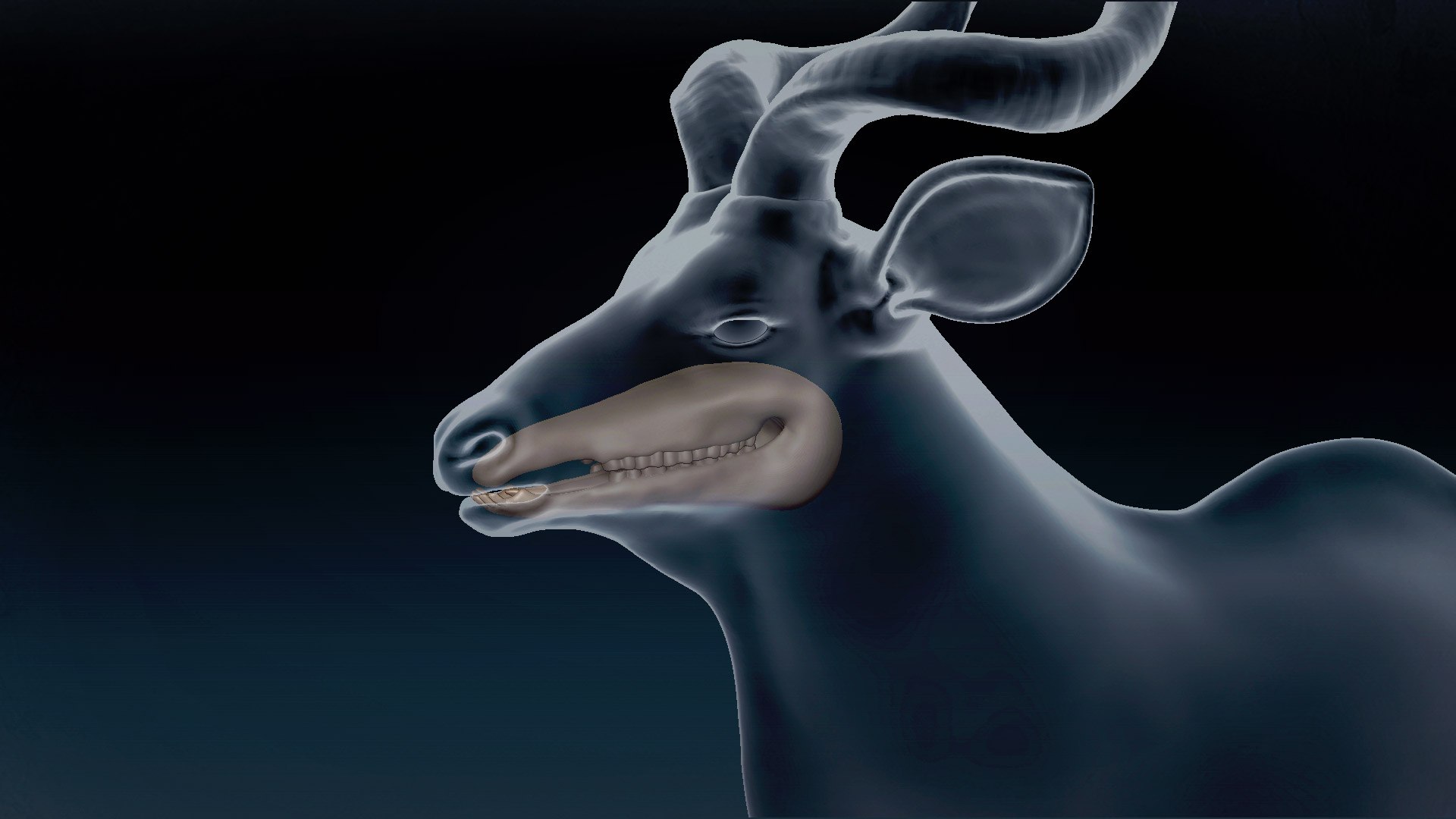 Kudu Antelope Base Mesh 3D 3D model https://p.turbosquid.com/ts-thumb/ZF/ejkx2L/IT/9/jpg/1638724454/1920x1080/fit_q87/8a47a25ec8d9a63ba6c16ede88379d9ec40570be/9.jpg