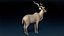 Kudu Antelope Base Mesh 3D