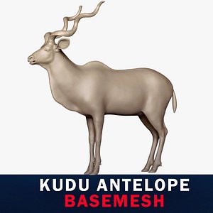 Kudu Antelope Base Mesh 3D 3D model