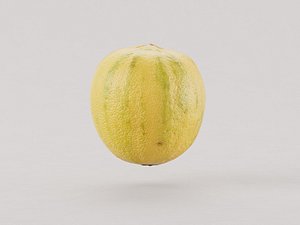 Pink Tiger Lemon fruit 3d model