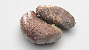 Chicken Kidneys