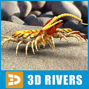 3d scolopendra insects bug