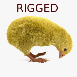 chicken rigged