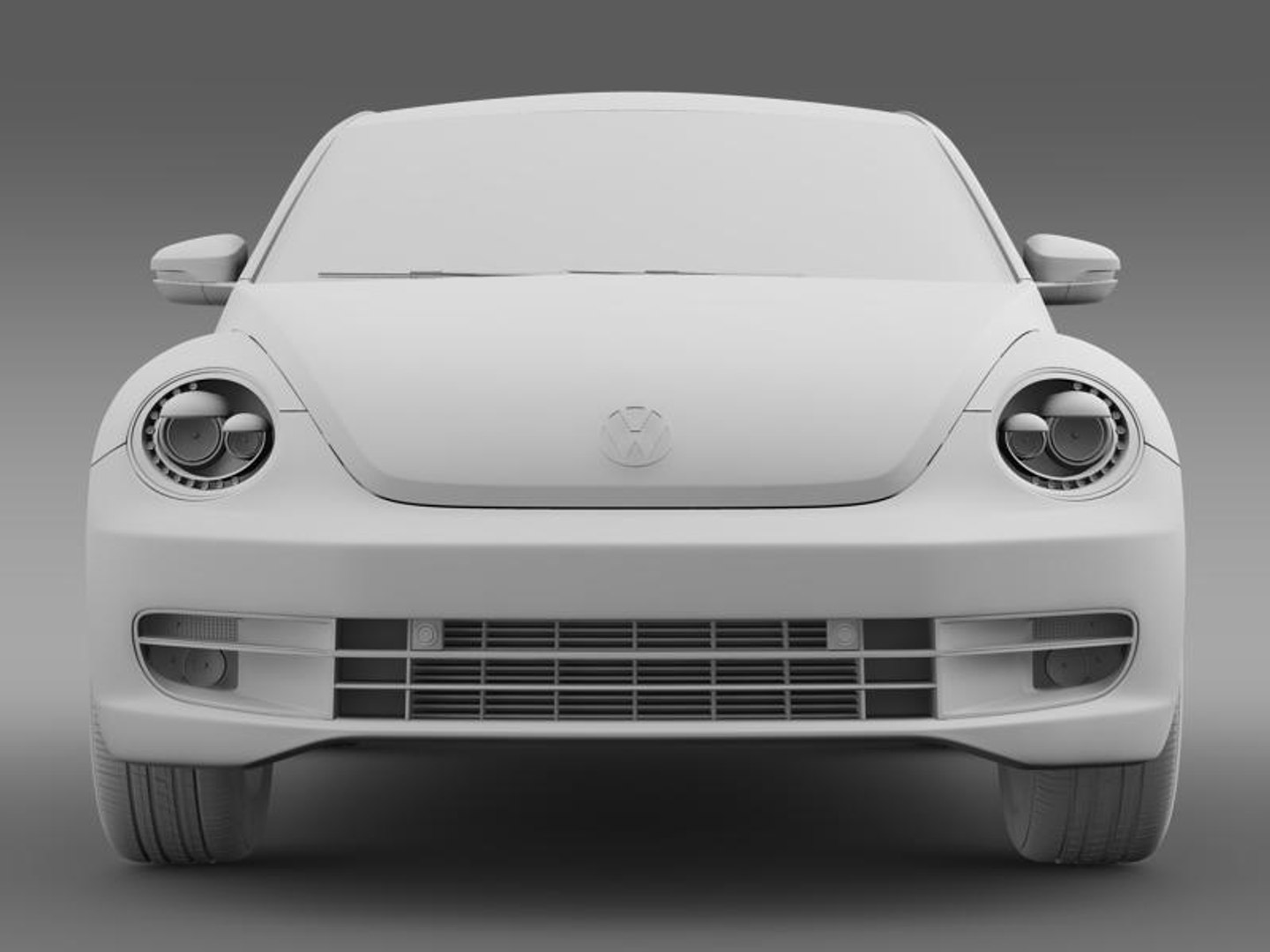 Model Beetle 2012