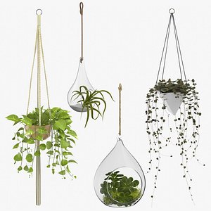hanging home plants 3D model