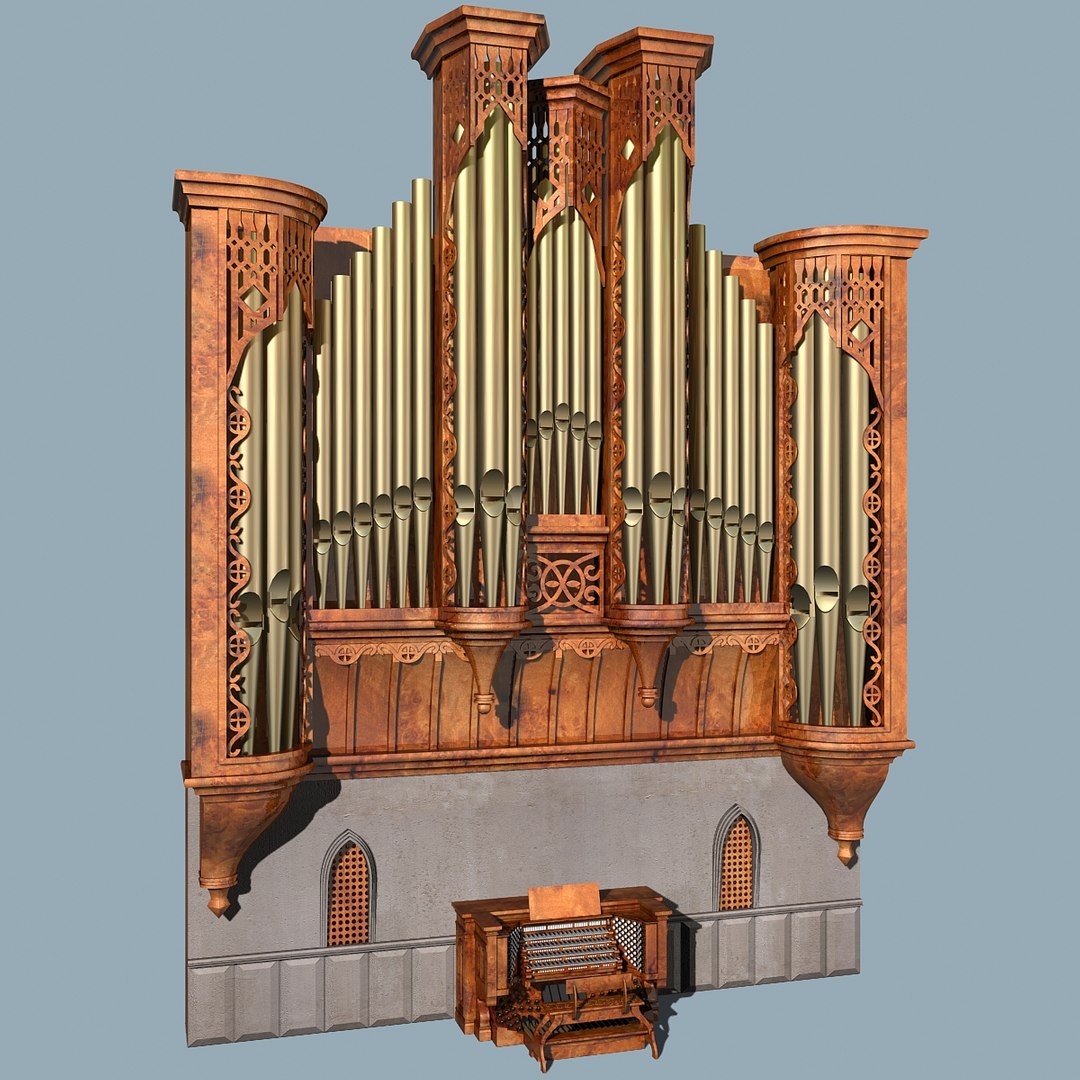Church pipe periodontal organ