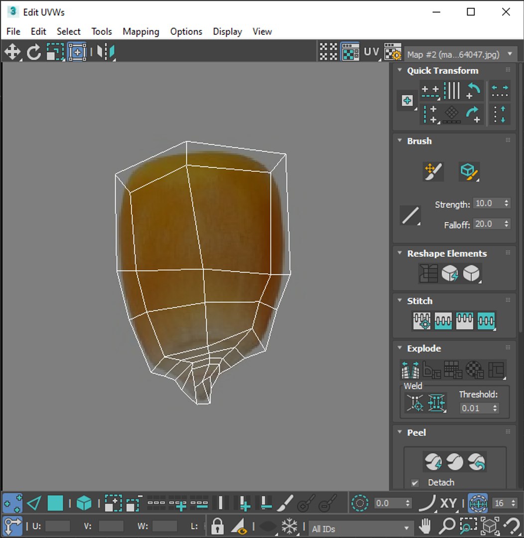 Corn Kernel 3D Model - TurboSquid 1850939