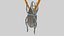 Pingente Bug Rinoceronte