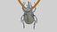 Pingente Bug Rinoceronte