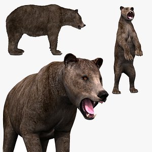 3D model Cave Bear - 3D animated