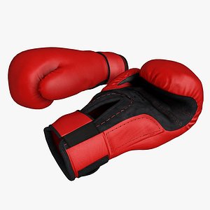 Boxing gloves