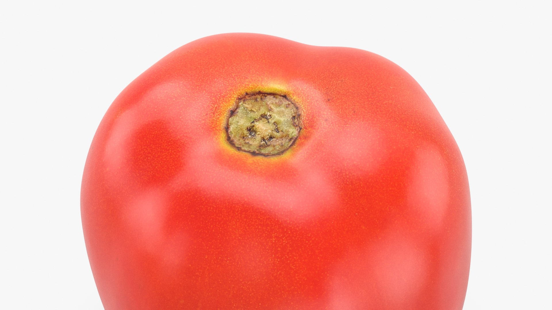 Roma Tomato 3D https://p.turbosquid.com/ts-thumb/ZH/eTxw0b/Pb/romatomato_b0008/jpg/1694285427/1920x1080/fit_q87/01bc9752ef90af5fde0db63ac78668a94c7d3df6/romatomato_b0008.jpg