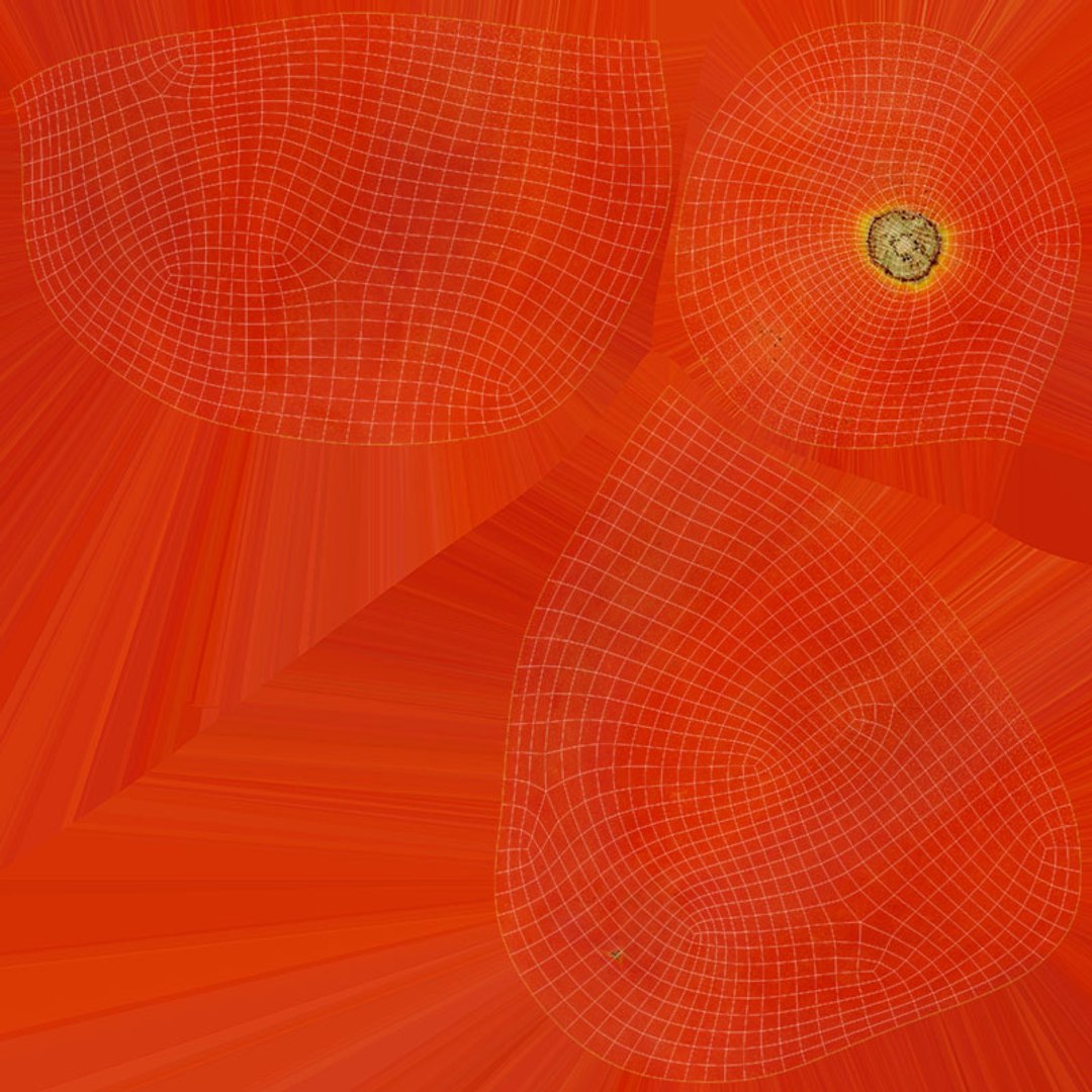Roma Tomato 3D https://p.turbosquid.com/ts-thumb/ZH/eTxw0b/q4/romatomato_d0004/jpg/1694285431/1920x1080/fit_q87/6391e74d8962ea8e03f2db823898ccdf4643731a/romatomato_d0004.jpg