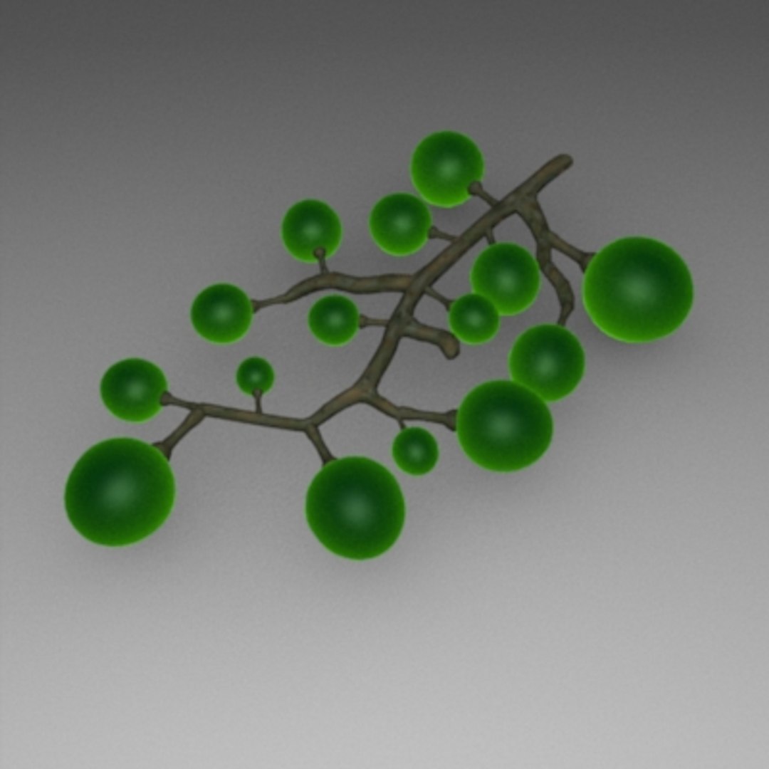vine wine fruit 3d 3ds https://p.turbosquid.com/ts-thumb/ZH/eidX24/6f2dsVmi/vine/jpg/1158514217/1920x1080/fit_q87/9c5566f7c6b635d4814f48f4662f6f957f66a4dc/vine.jpg