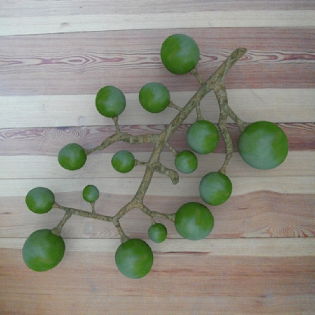 vine wine fruit 3d 3ds https://p.turbosquid.com/ts-thumb/ZH/eidX24/AZvLdgSm/vine2/jpg/1158514256/1920x1080/fit_q87/312b1bfdf1f35767947d9569e51844c84e8874e0/vine2.jpg