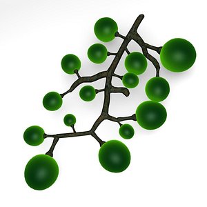 vine wine fruit 3d 3ds