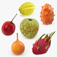 Exotic Fruits 3D Models Collection