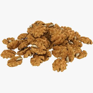 realistic walnut kernel pile model