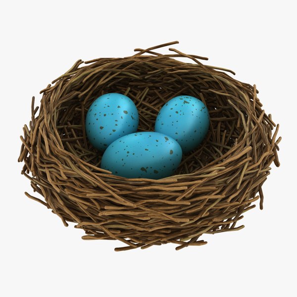 realistic bird nest 03 3D model