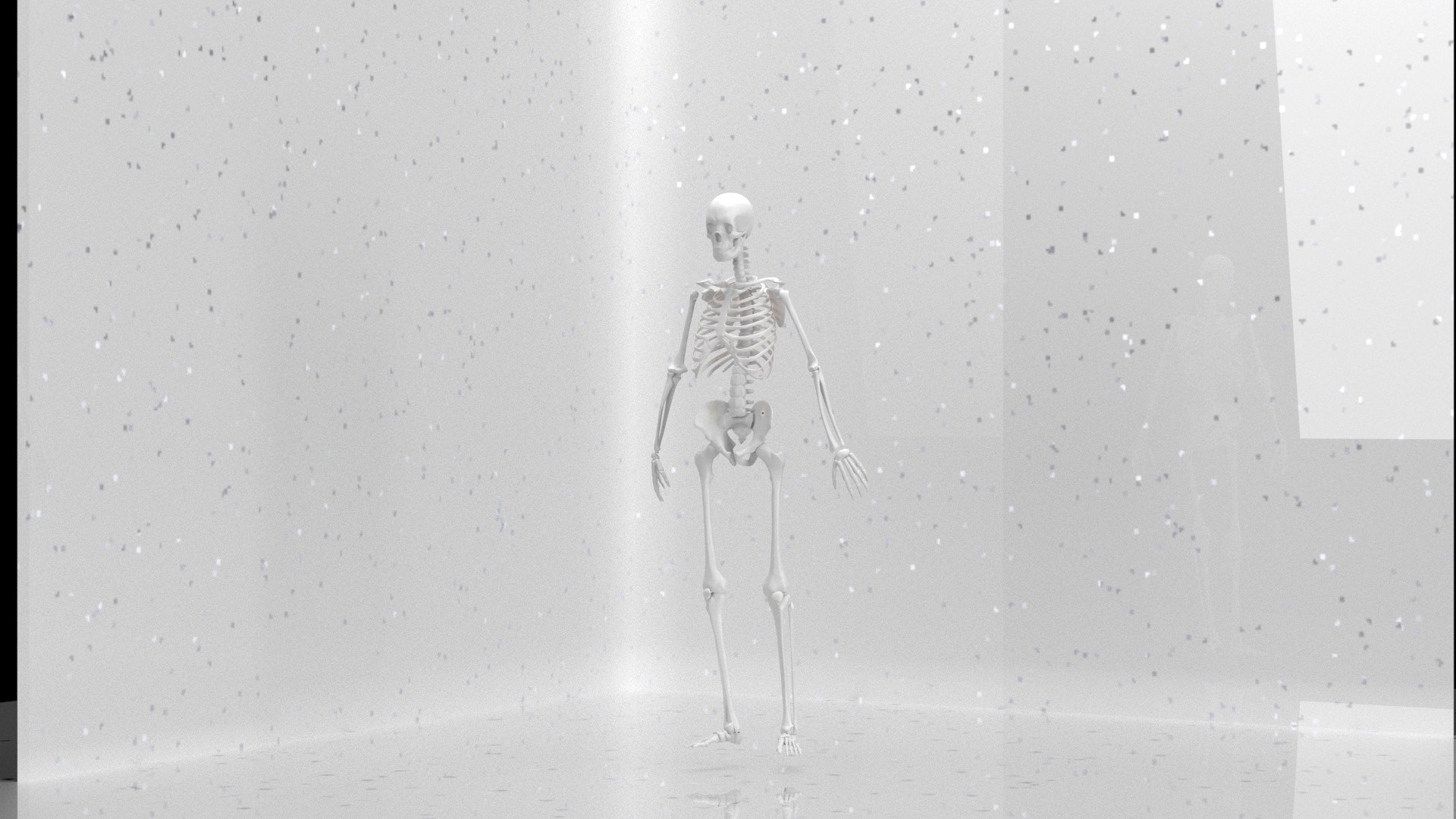 The human skeleton 3D https://p.turbosquid.com/ts-thumb/ZH/zkJOLm/09/thehuman2/jpg/1712150236/1920x1080/fit_q87/675a882438690e64f7c20a5f66456d438426fbd9/thehuman2.jpg