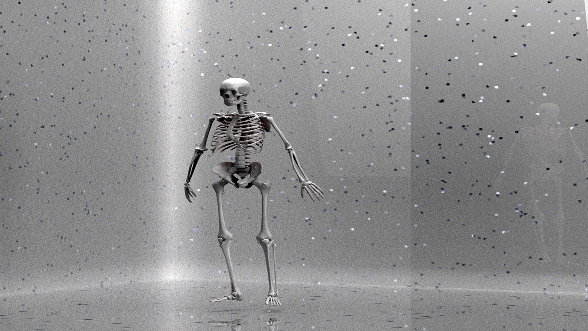 The human skeleton 3D https://p.turbosquid.com/ts-thumb/ZH/zkJOLm/85/prewiev/png/1712150136/1920x1080/fit_q87/6eced6c2e3df1514d4776a2287ea804823c68d0e/prewiev.jpg