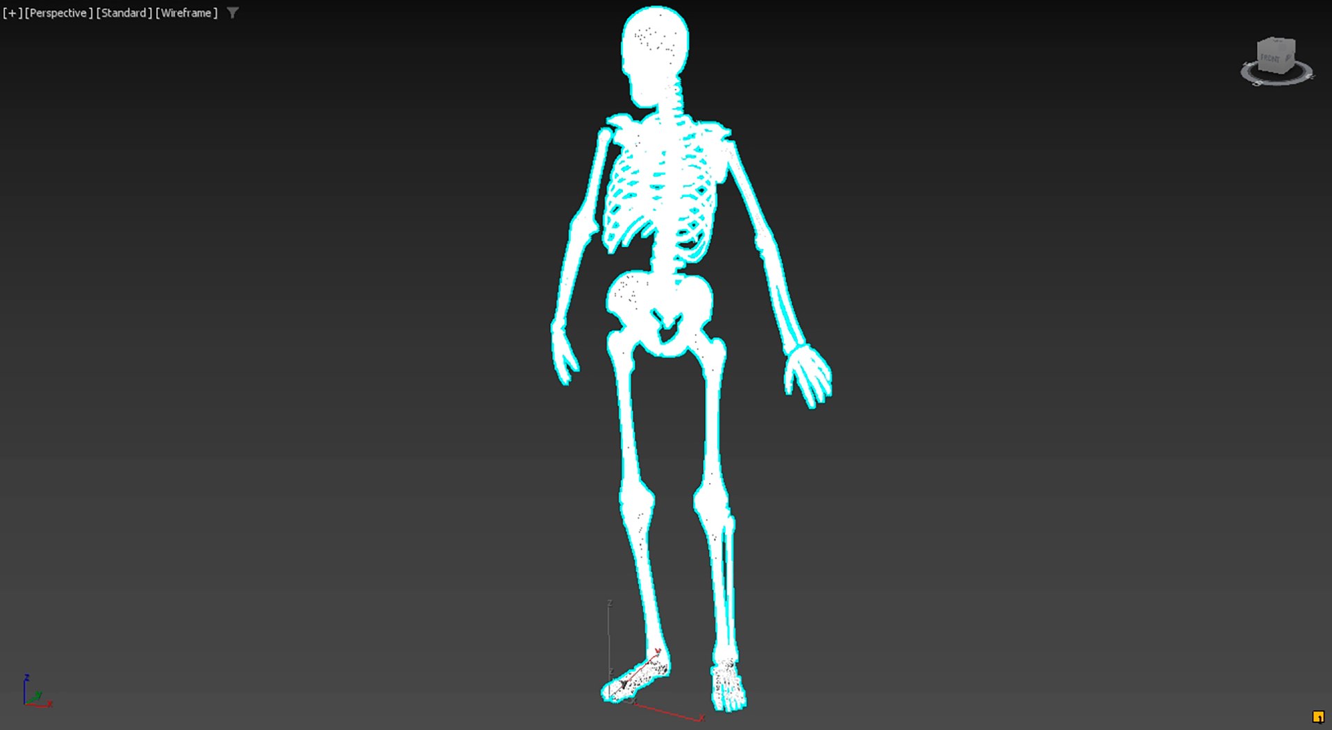 The human skeleton 3D https://p.turbosquid.com/ts-thumb/ZH/zkJOLm/Za/karkasiz/jpg/1712146999/1920x1080/fit_q87/347b94f363afe1533f67695e33511e1656aa0591/karkasiz.jpg