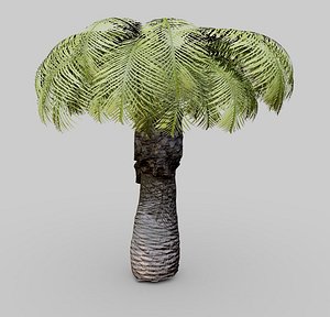 plant small palm tree model