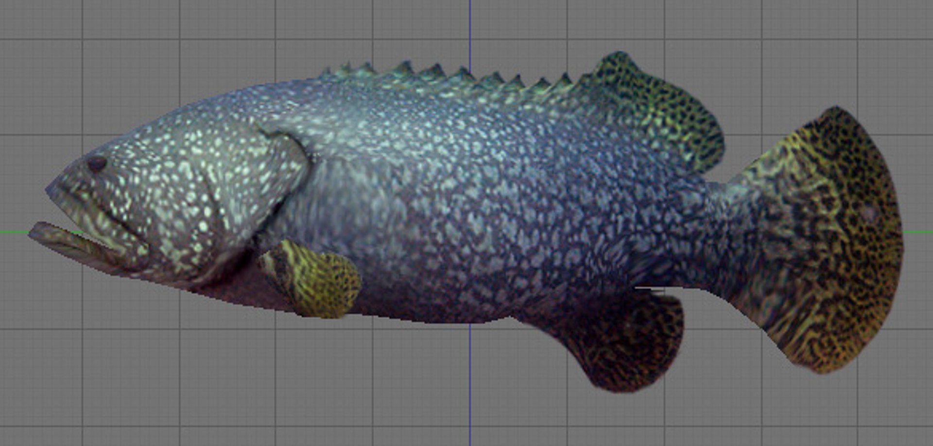 3d model fish games