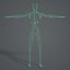 Lymphsystem (texturiert)