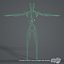 Lymphsystem (texturiert)