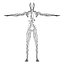 Lymphsystem (texturiert)