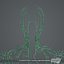 Lymphsystem (texturiert)