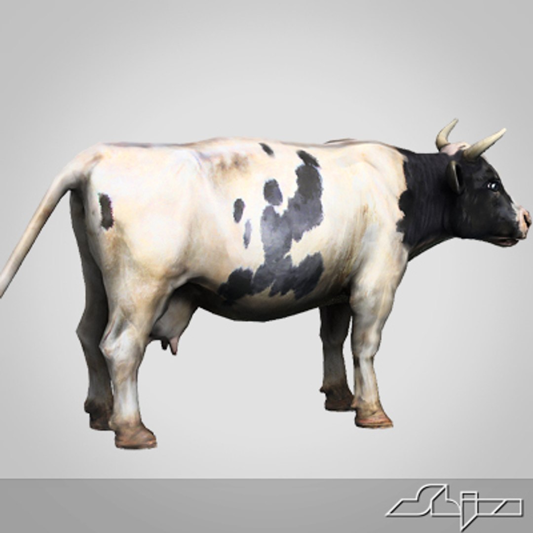 3d Cow Model