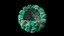 Humane Papillomavirus type 16 with DNA