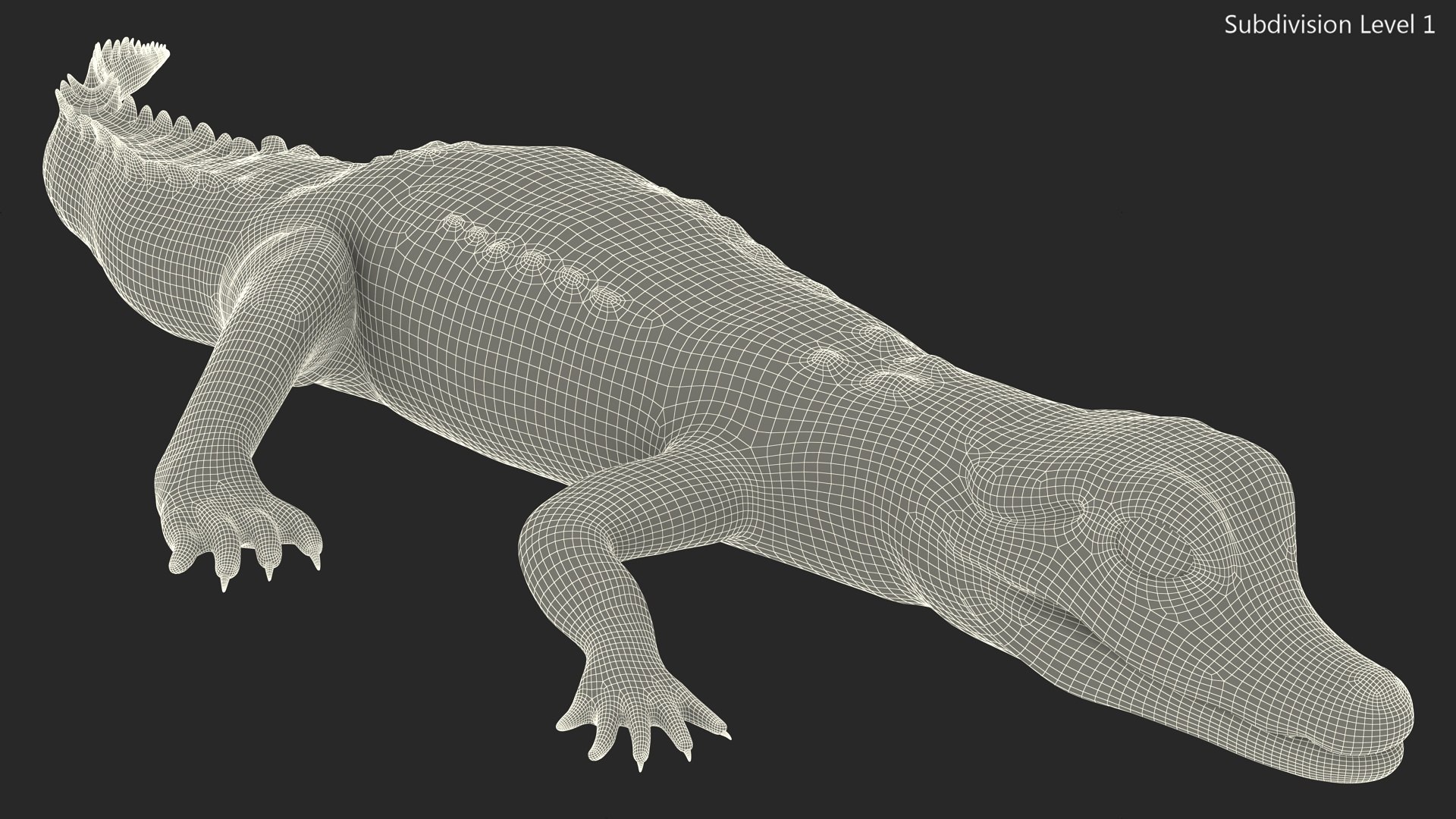 3D Black Caiman Baby Lying model https://p.turbosquid.com/ts-thumb/ZI/OJvxkz/Qt/blackcaimanbabylyingc4dmodel019/jpg/1712518389/1920x1080/fit_q87/0e5857cd7acadf7b1543308eff1c9c8923f5aa3d/blackcaimanbabylyingc4dmodel019.jpg