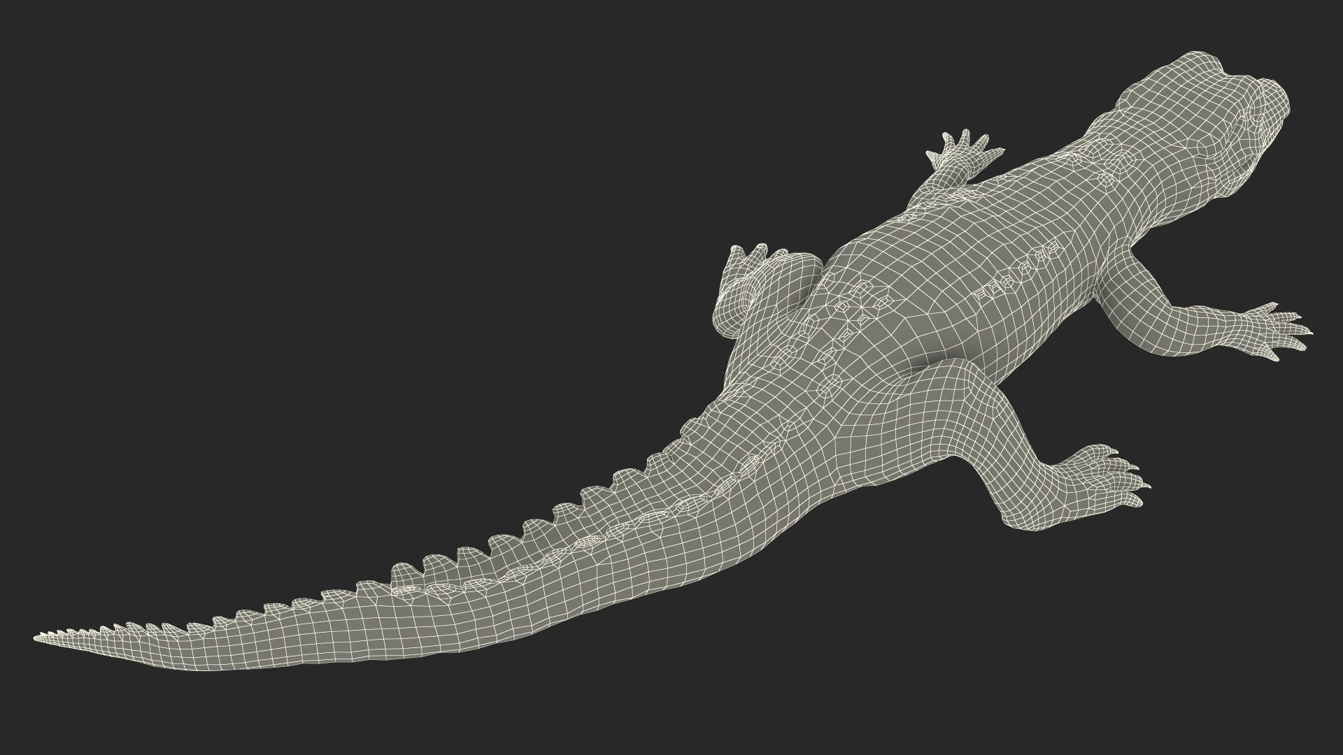 3D Black Caiman Baby Lying model https://p.turbosquid.com/ts-thumb/ZI/OJvxkz/fr/blackcaimanbabylyingc4dmodel024/jpg/1712518404/1920x1080/fit_q87/b1e83785467e6b8f2602282ec490b370d8d9b057/blackcaimanbabylyingc4dmodel024.jpg