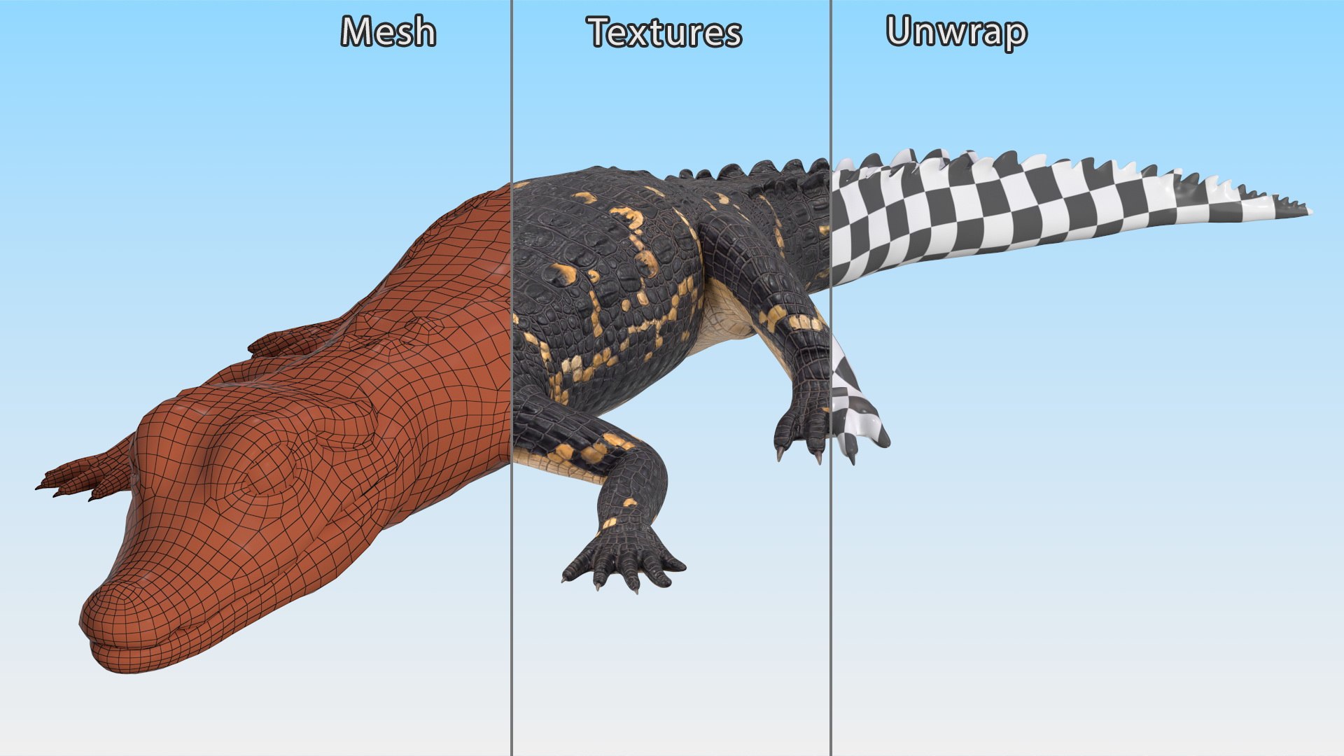 3D Black Caiman Baby Lying model https://p.turbosquid.com/ts-thumb/ZI/OJvxkz/mC/blackcaimanbabylyingc4dmodel017/jpg/1712518383/1920x1080/fit_q87/5acbbeedcbbd0678bebe25e5ab20ec04adbf1f37/blackcaimanbabylyingc4dmodel017.jpg