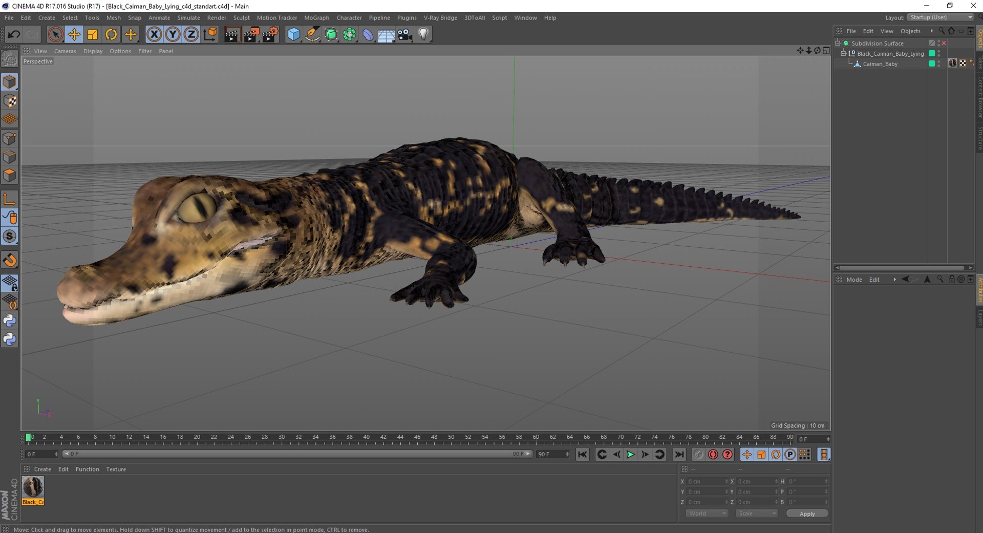 3D Black Caiman Baby Lying model https://p.turbosquid.com/ts-thumb/ZI/OJvxkz/oG/blackcaimanbabylyingc4dmodel037/jpg/1712518422/1920x1080/fit_q87/e04456ce719e64aafd310c02a5cd7cd113f65ae5/blackcaimanbabylyingc4dmodel037.jpg