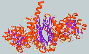 protein dehydrogenase 3d model
