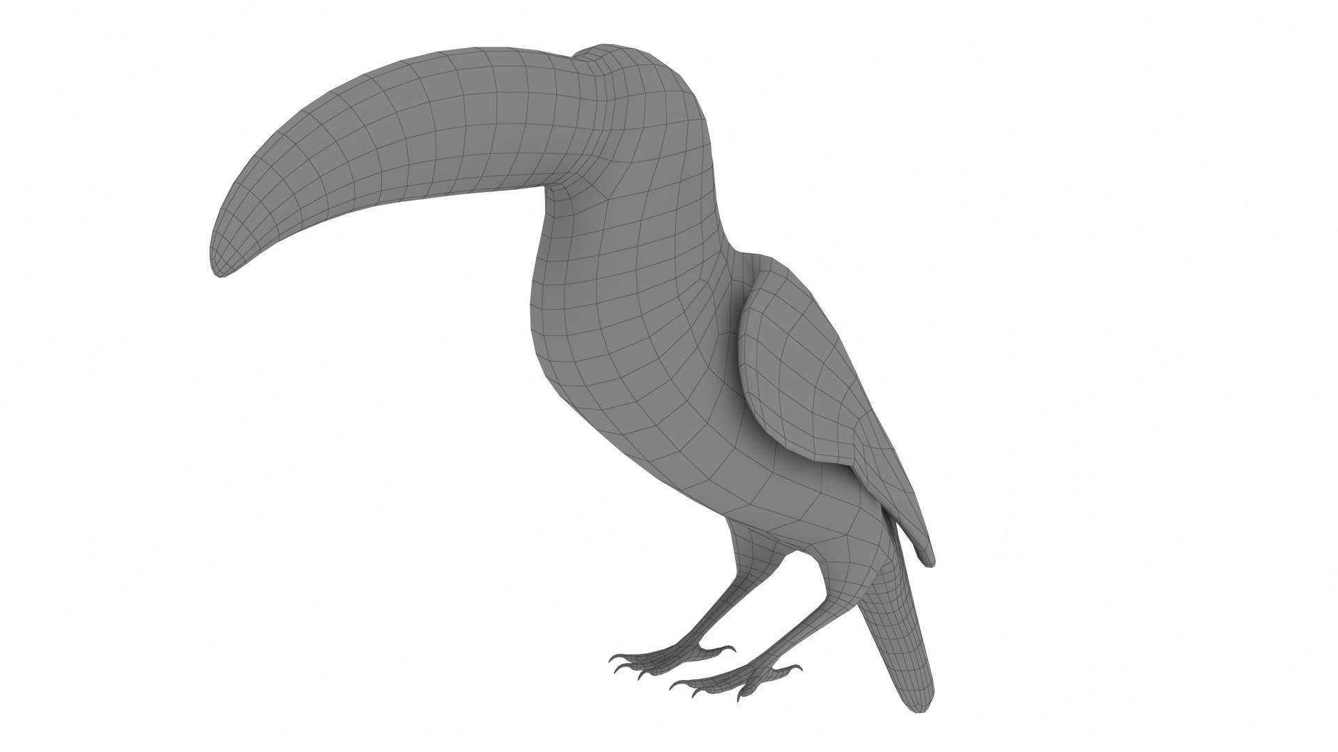 3D Parrot Collection Model - TurboSquid 2336099